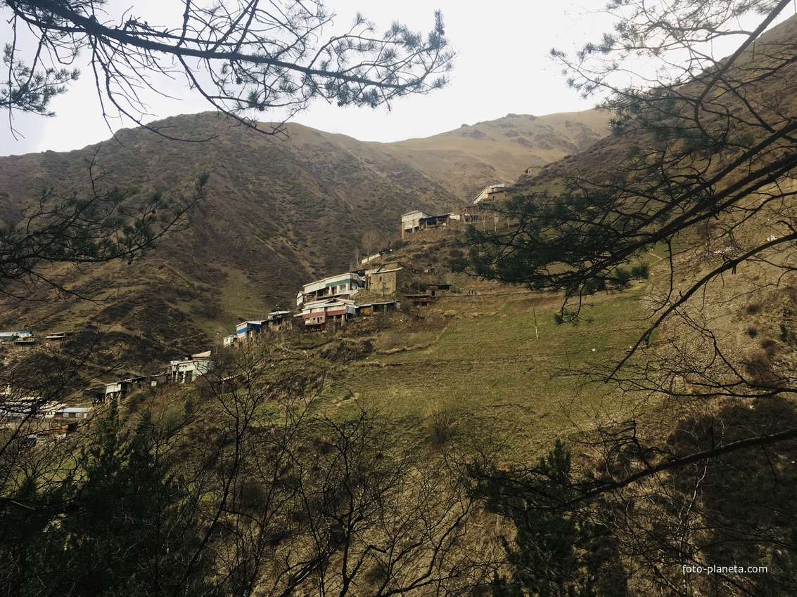 Вид с леса на село Начада