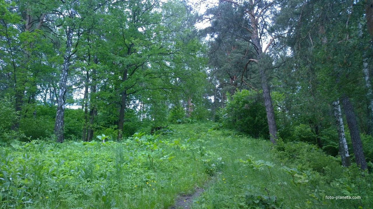 Земляные валы