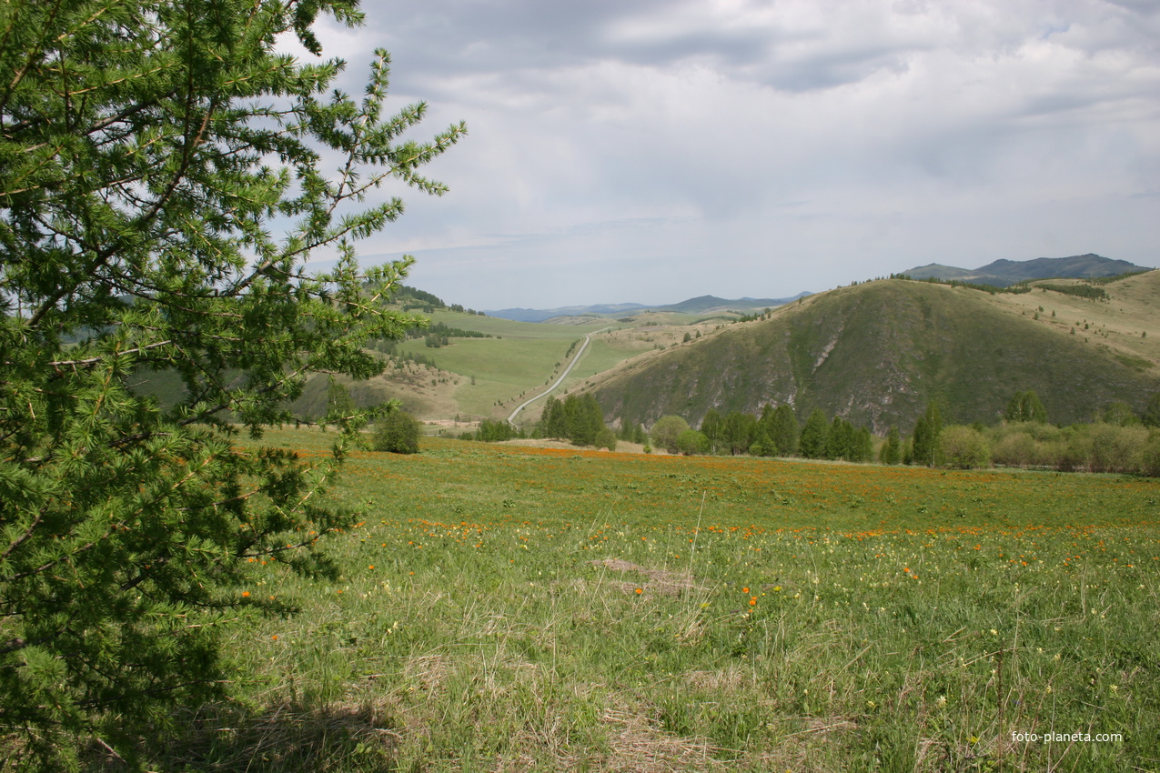 Погода в чарышском. Село Сентелек Чарышский район. Река Тулата Чарышский район. Тулата Чарышский район Алтайский край. Перевал Сентелек.