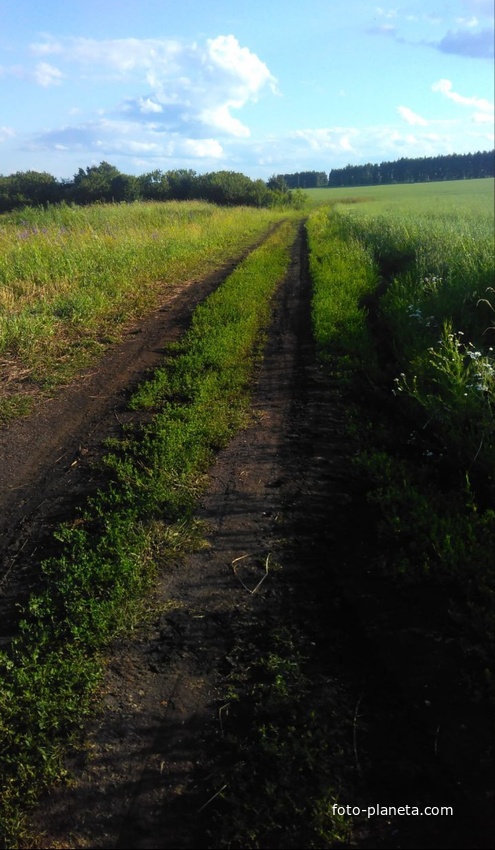 Бутурлино, просёлочная дорога