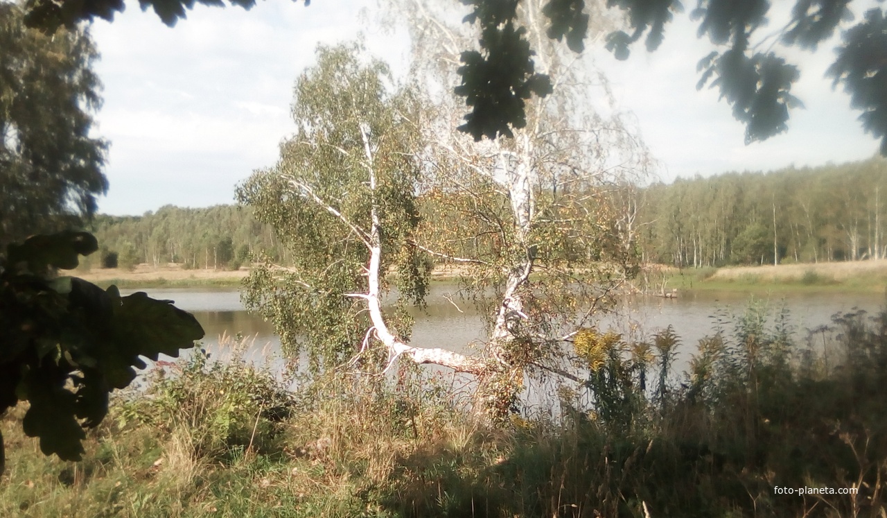 Истоки реки Городенки