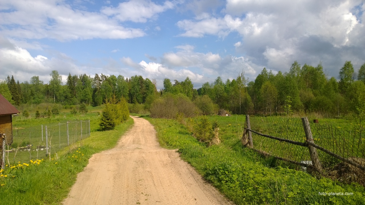 Дорога от д.Студенец к дороге Говырино-Дмитровское 2023г.