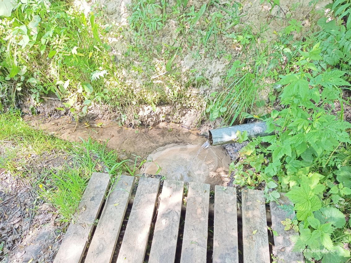 Родник. Улица Лесная