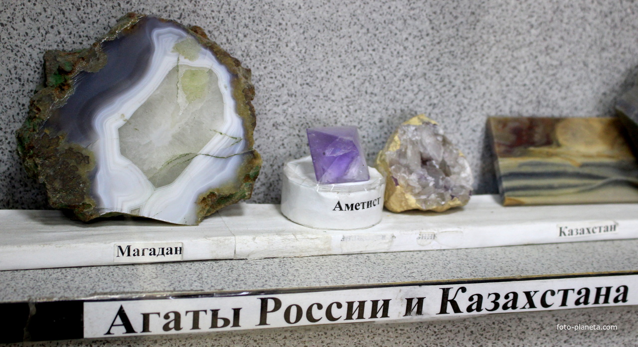 В Геологическом музее Курского государственного университета.