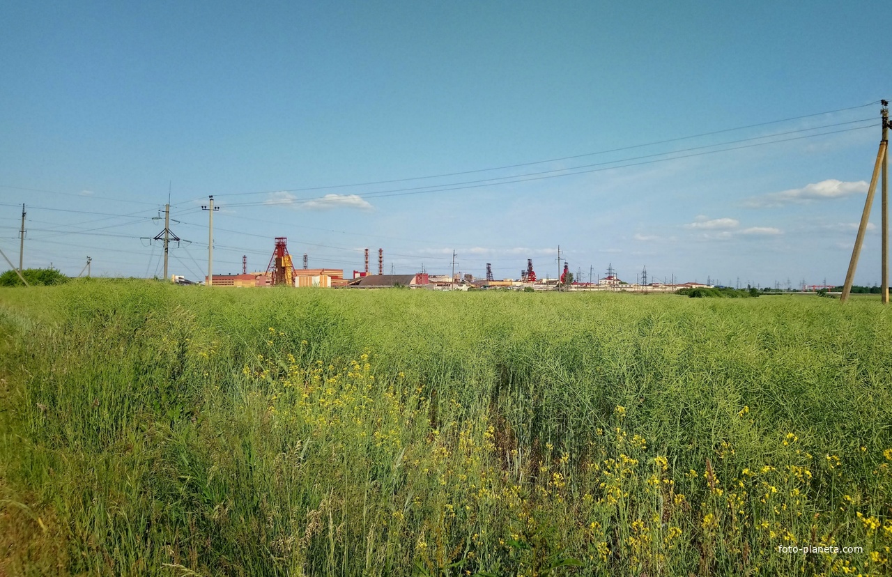 Первое рудоуправление