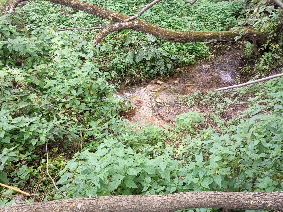 Родник у моста через Лопасню