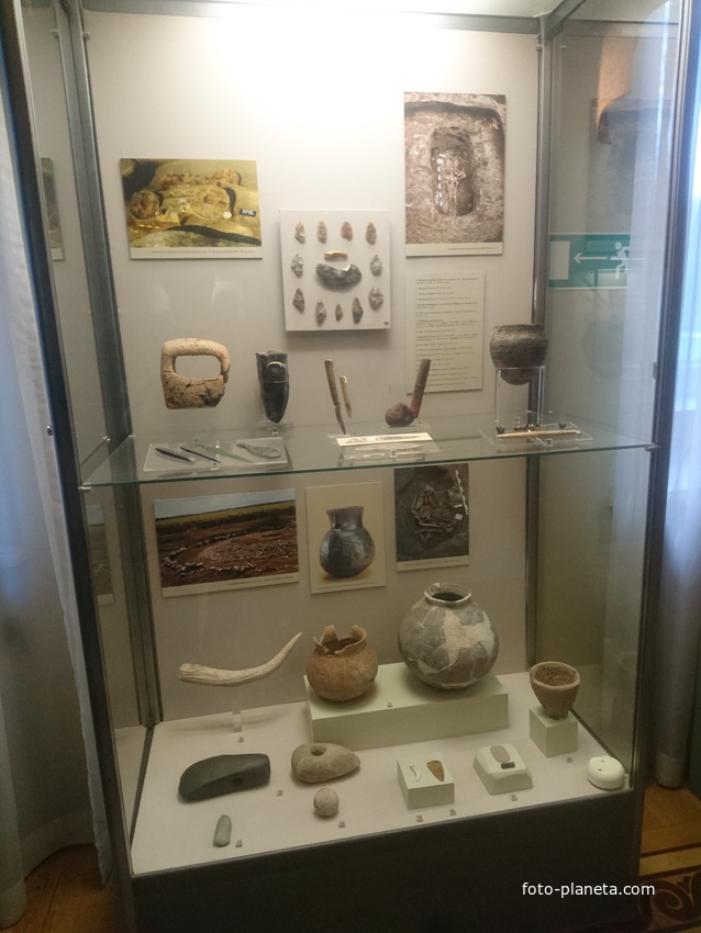 Экспозиции историко-археологического музея им. Е.Д. Фелицына