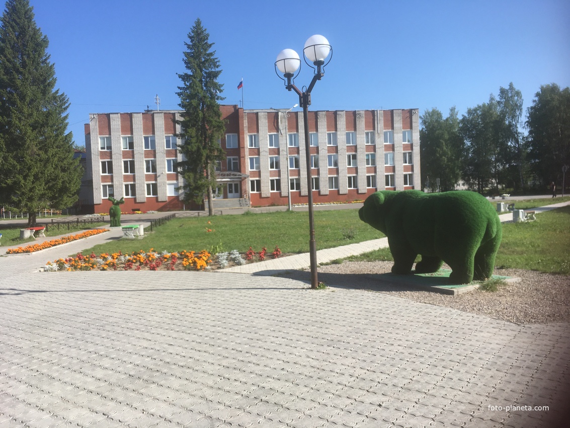 В сквере у администрации Красновишерска. Топиарная фигура медведь