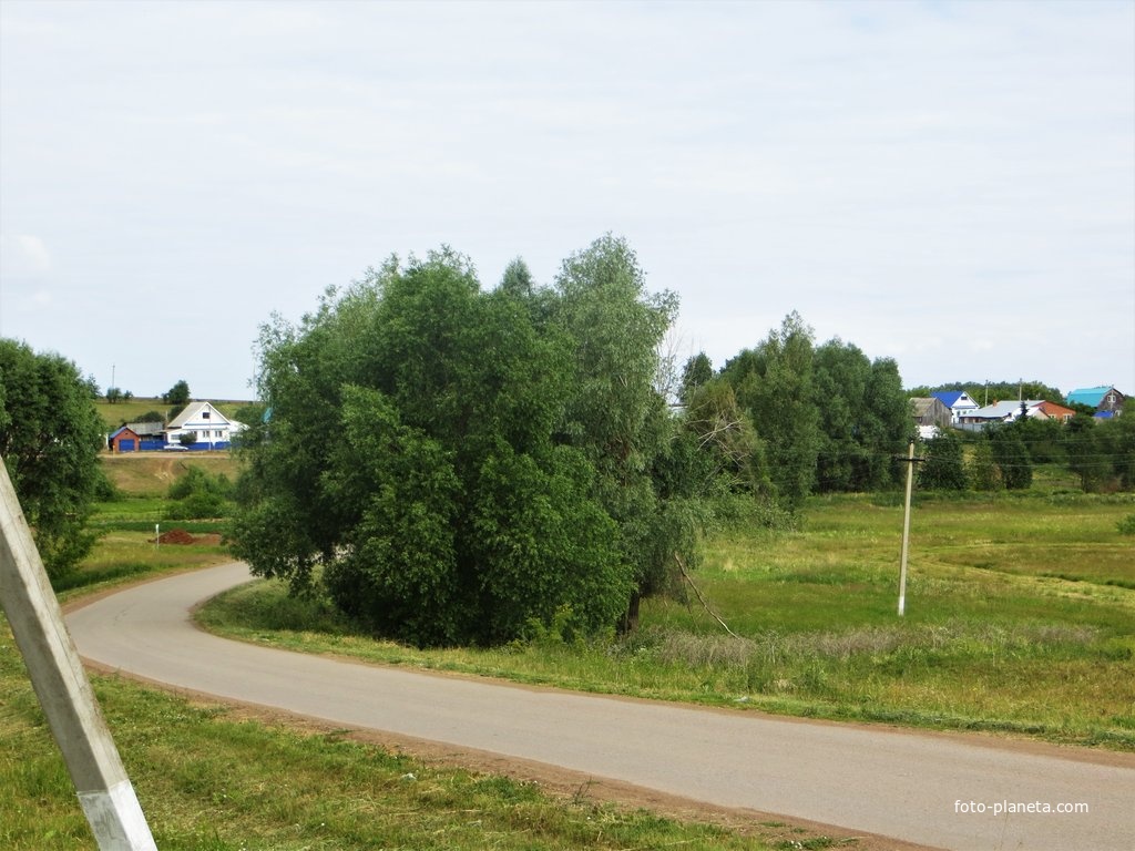Село Николаевка