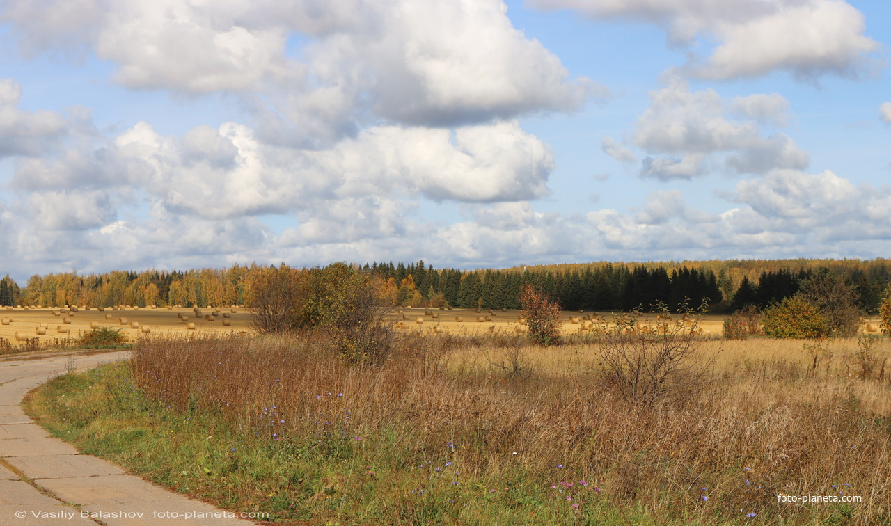 Дорога к Ледневу в западной части села