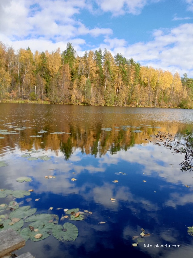 Озеро Карцевское.