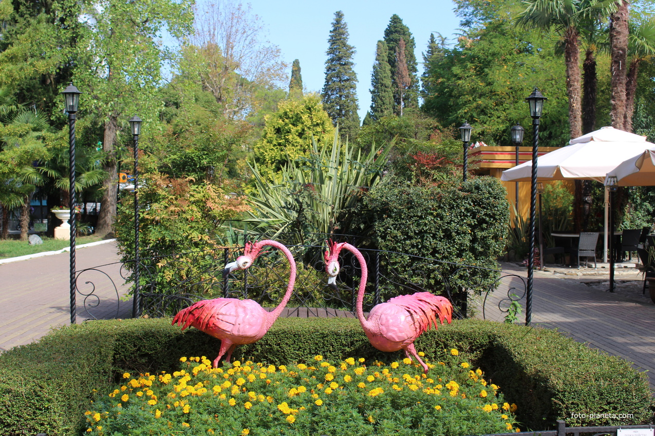 Фламинго в парке &quot;Ривьера&quot;.