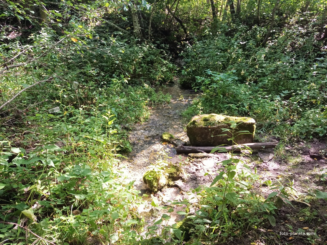 Источник. Вытекает из-под дороги.