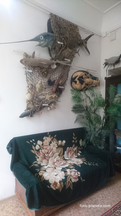 Экспозиции музея краеведения и истории грязелечения