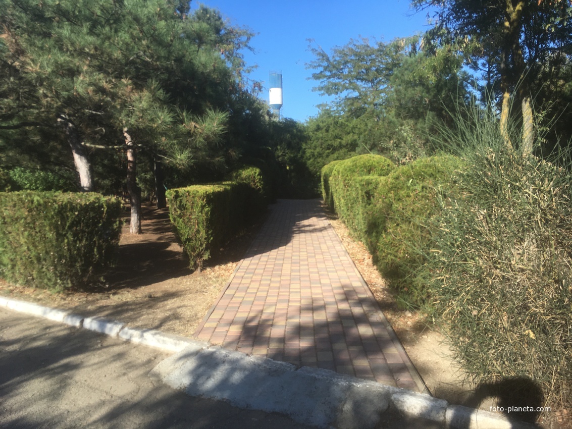 На территории санатория &quot;Северное Сияние&quot; на Морской улице