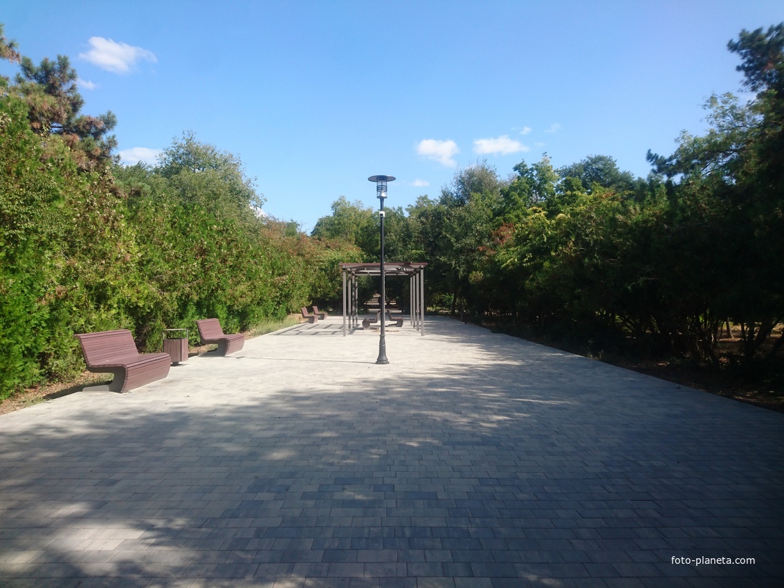 В парке им. Фрунзе