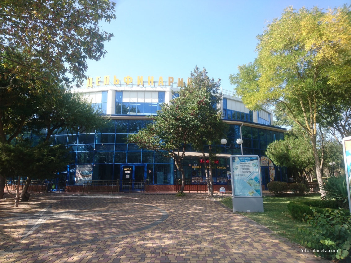 Дельфинарий