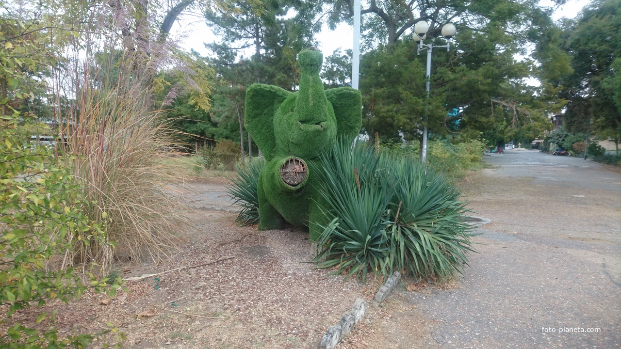 Топиари Слон в парке имени Фрунзе