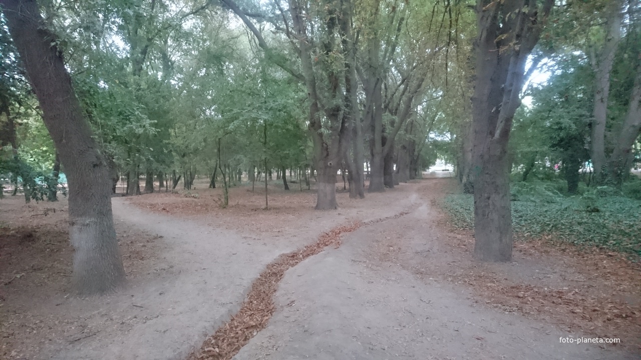 Парк имени Ленина у Мойнакского озера