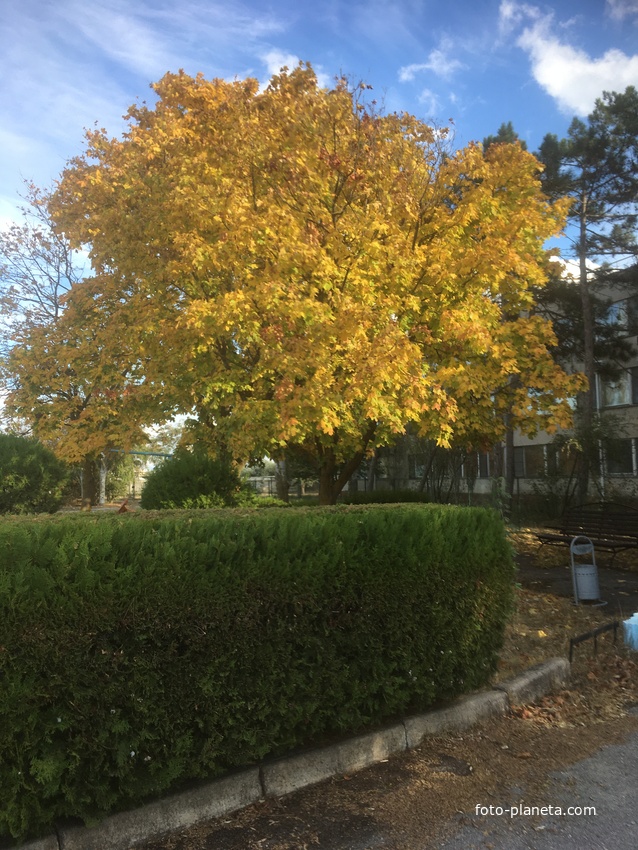 На территории у многофункционального комплекса отдыха, спорта, реабилитации и санаторно-курортного лечения &quot;Эволюция&quot;.