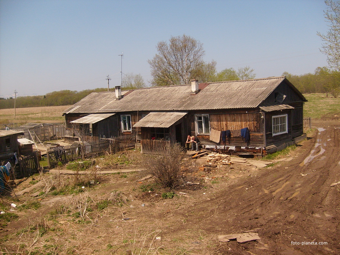 домик в деревне Орлово