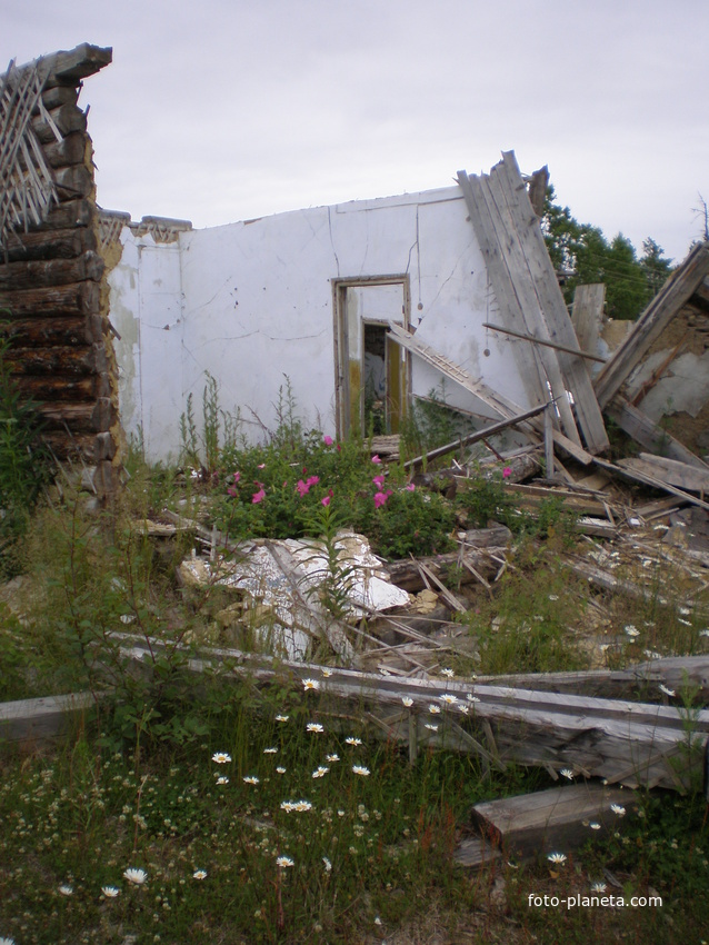 Поселок сабо сахалинская область