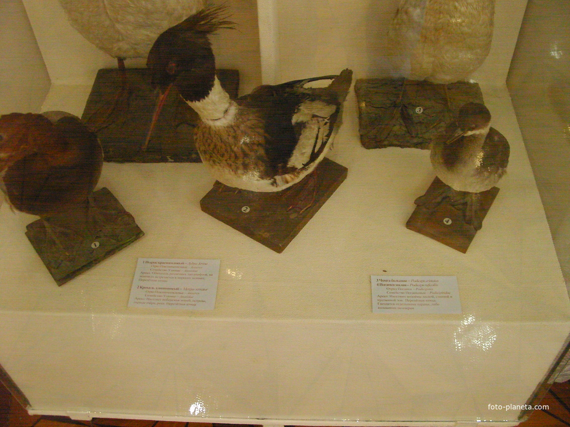 Экспозиции краеведческого музея