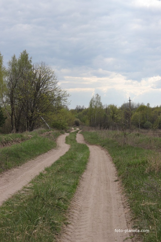 Дорога из Посёлка в Круговку