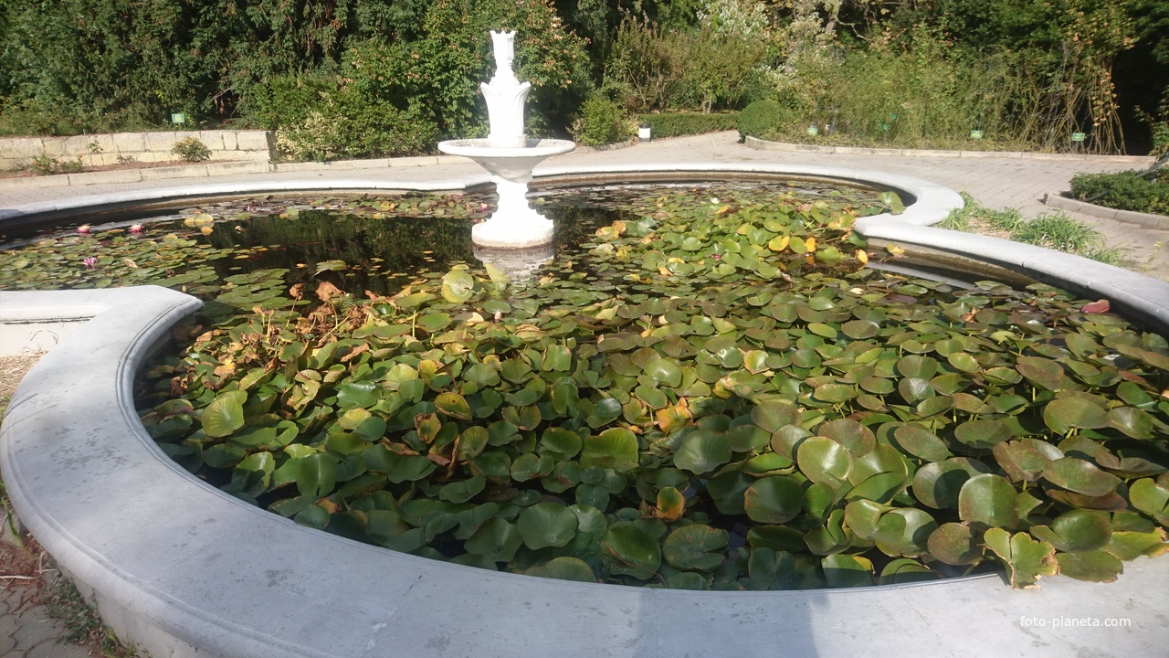 Никитский ботанический сад. Верхний парк. Фонтан с бассейном
