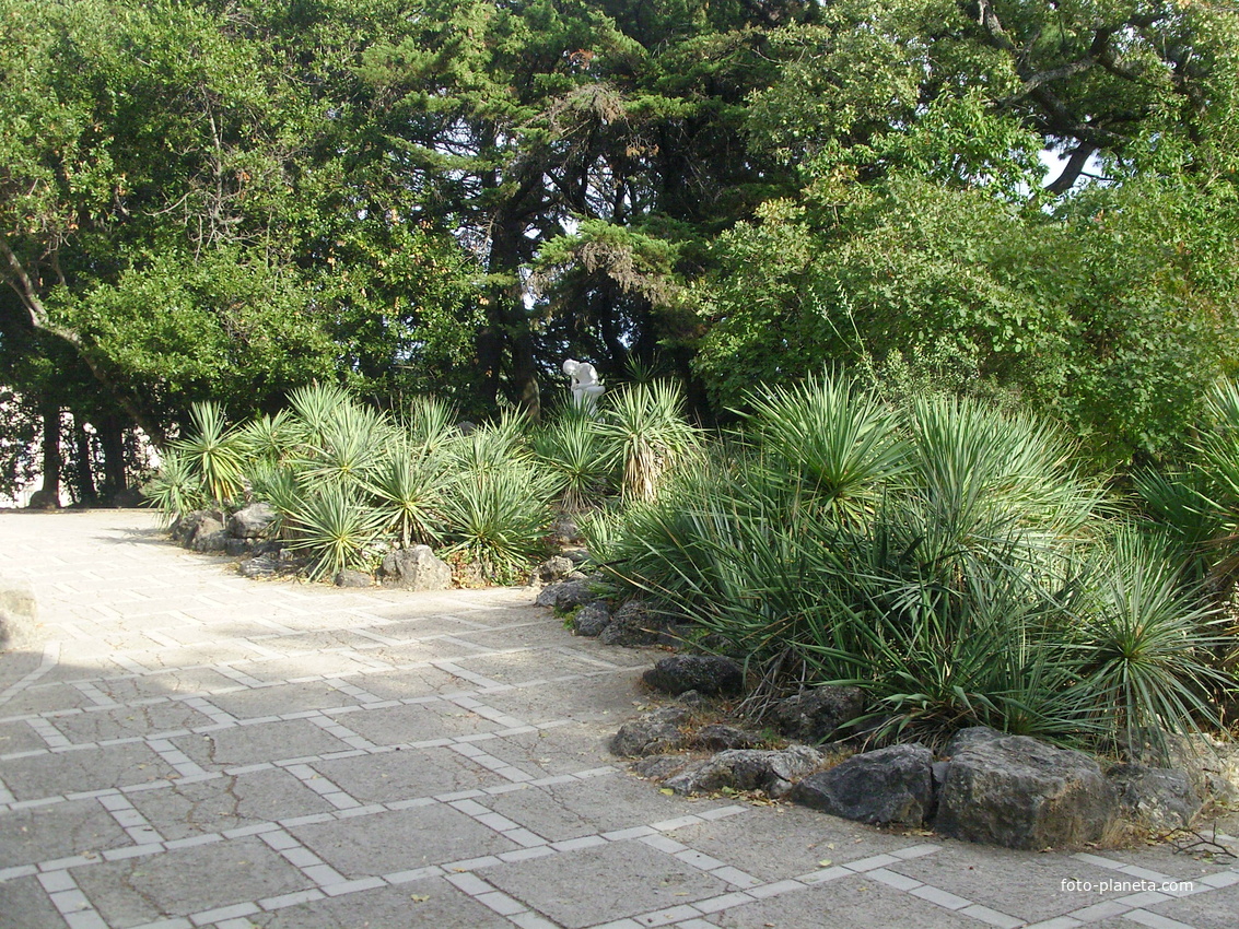 Никитский ботанический сад. Верхний парк. Живописный уголок альпийской горки с юкками