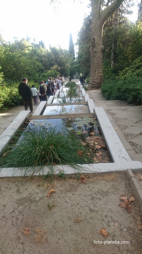 Никитский ботанический сад. Нижний парк. Лестница с каскадом бассейнов