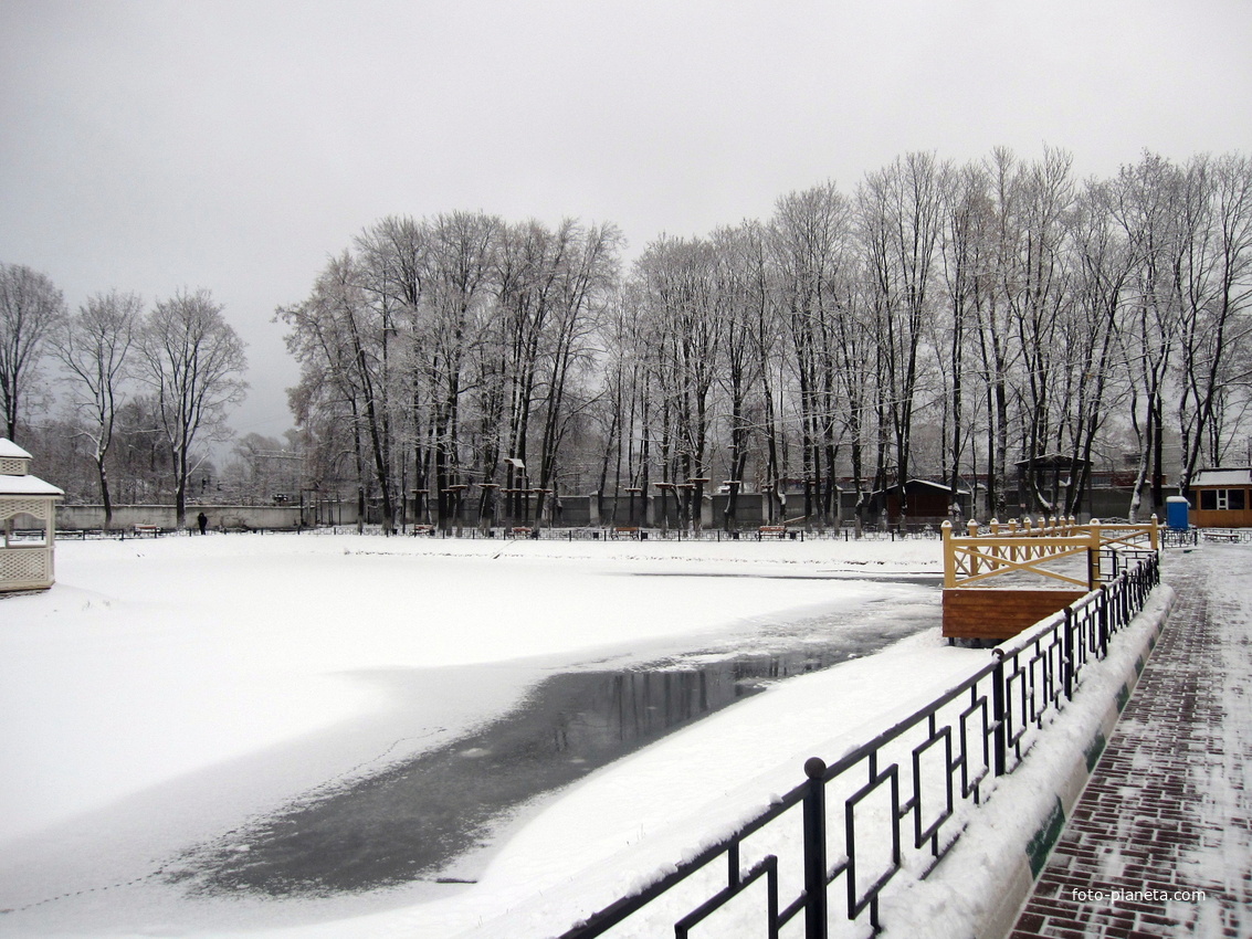 Пруд в парке зимой