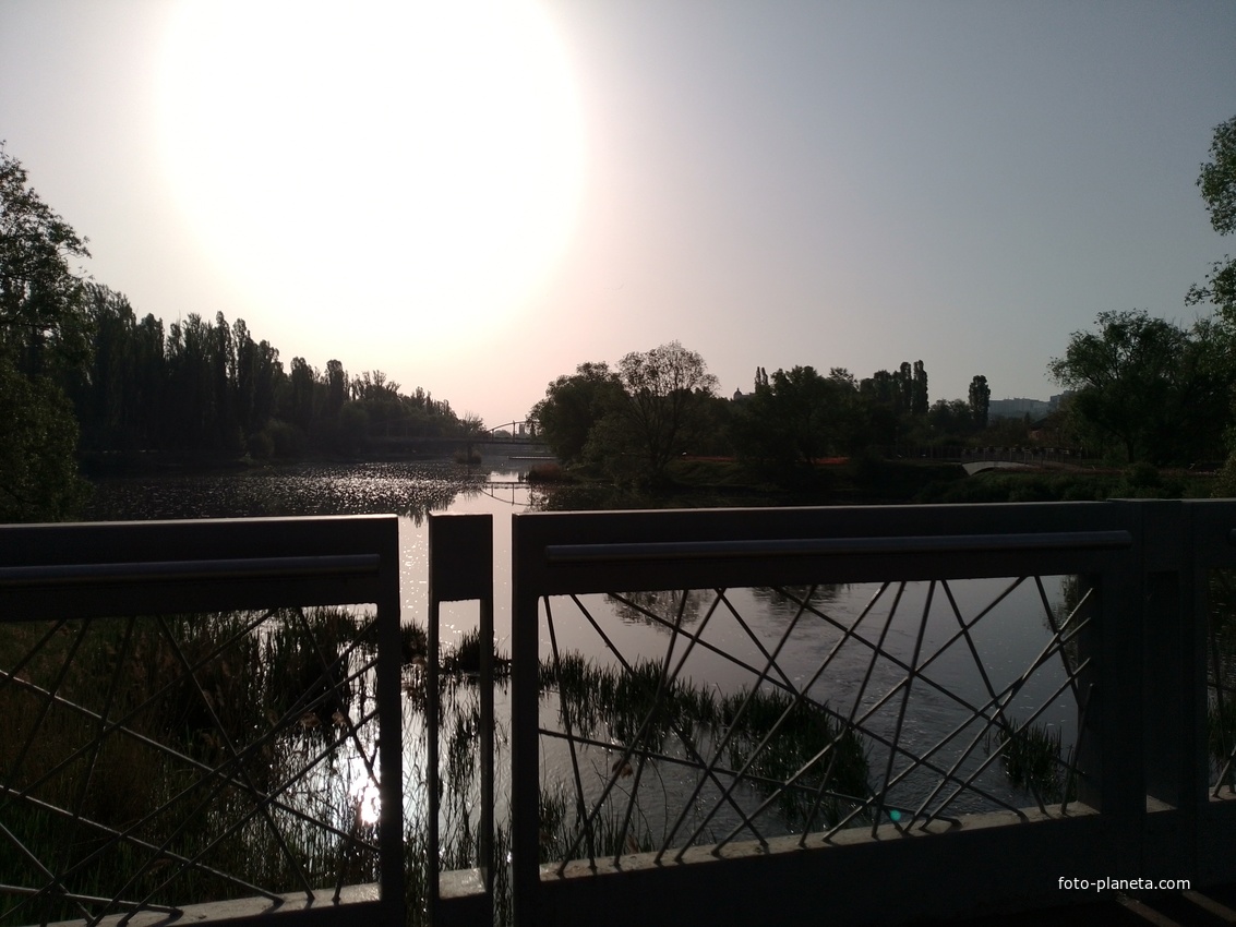 Везелка в Парке победы