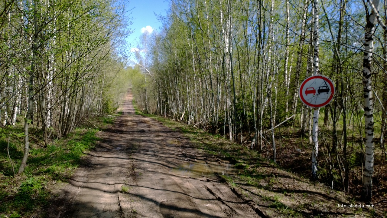 Дорога в село Лучинское