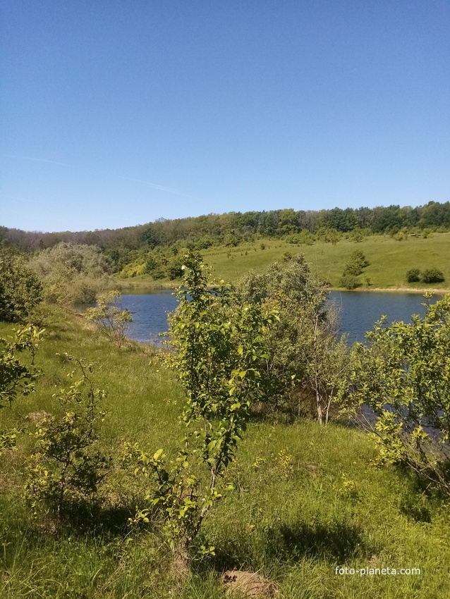 Пруд Поповский