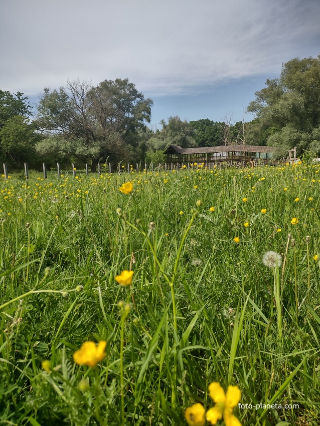 Природный заповедник.