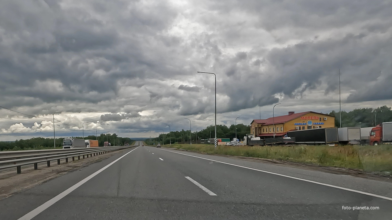 Буревестник