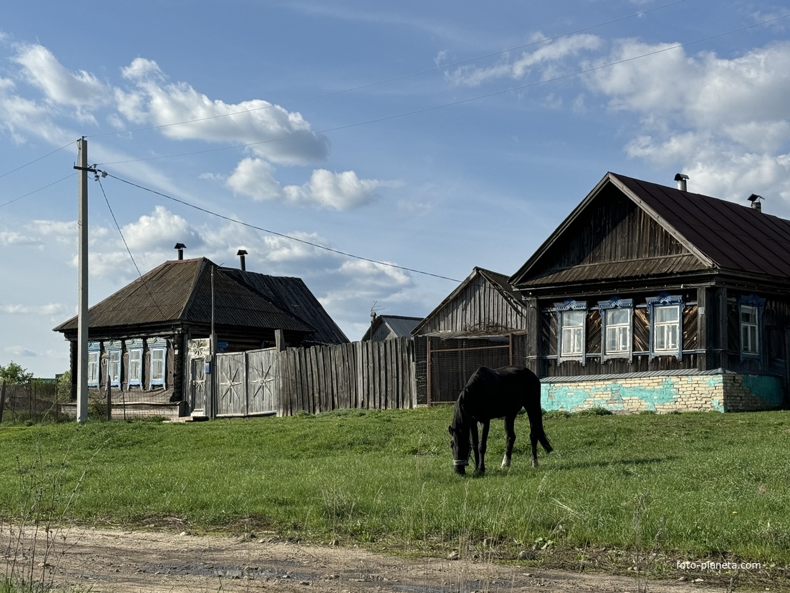 Дома напротив церкви в Русской Пенделке