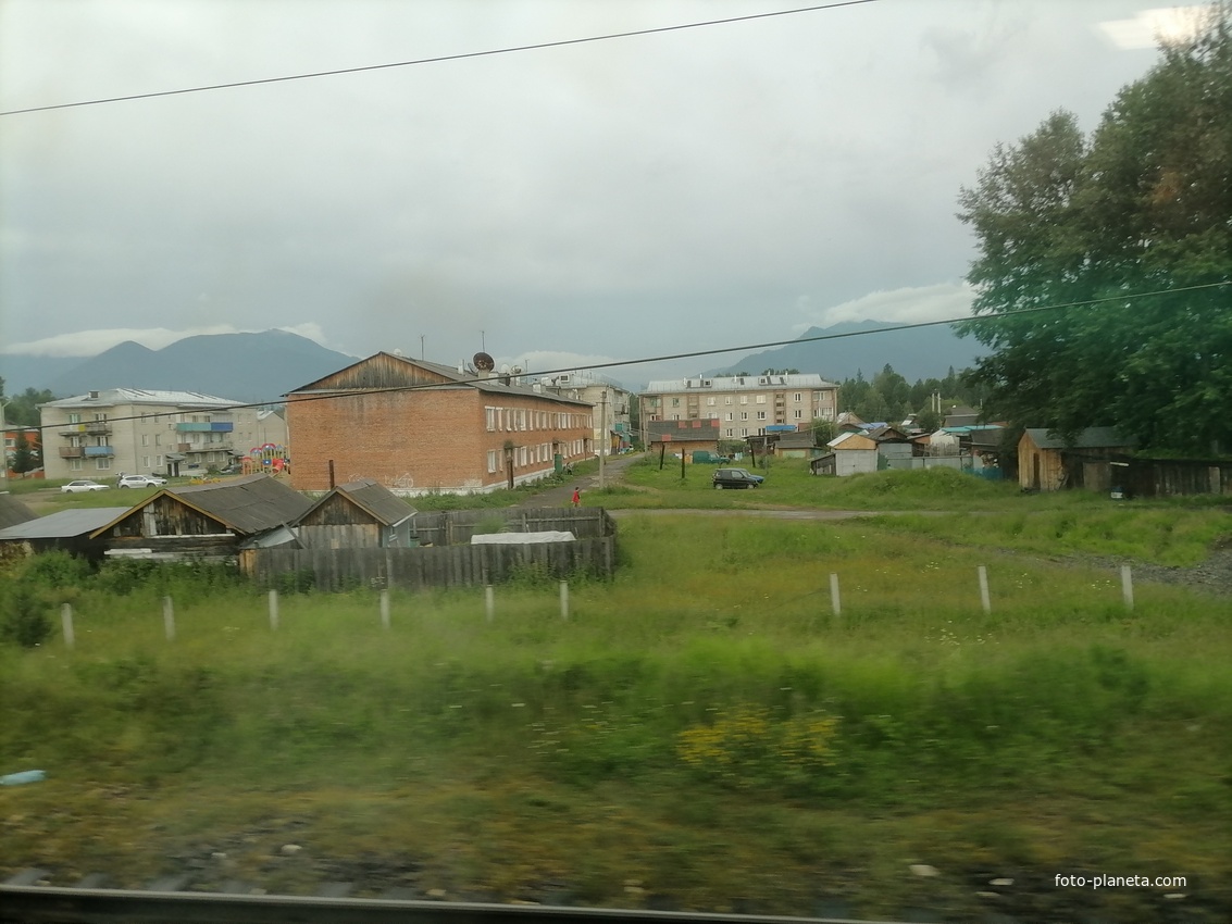 Выдрино
