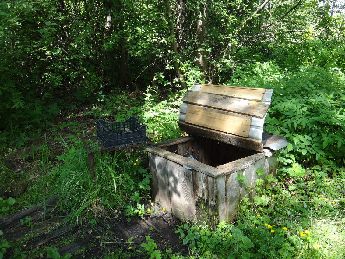 Один из родников в посёлке Мишеронский