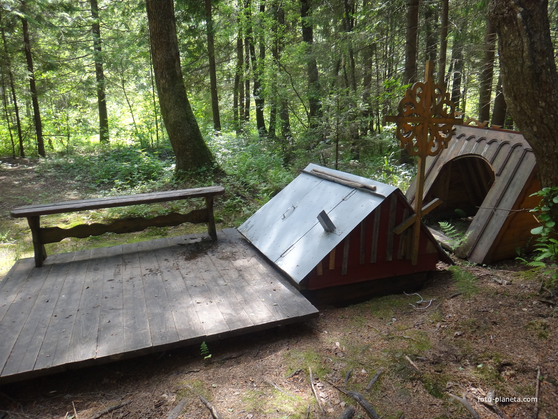 Родник у деревни Ворово. Июнь 2024г.