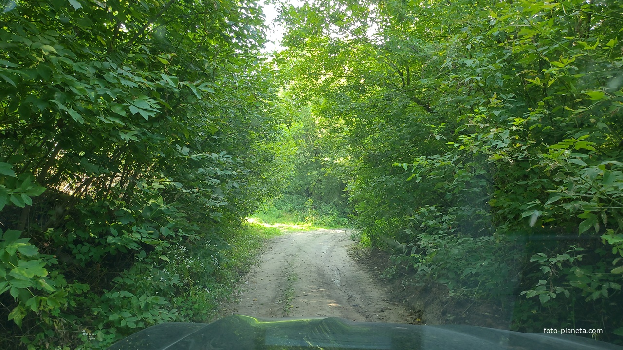 Улица красный парус Калошичье