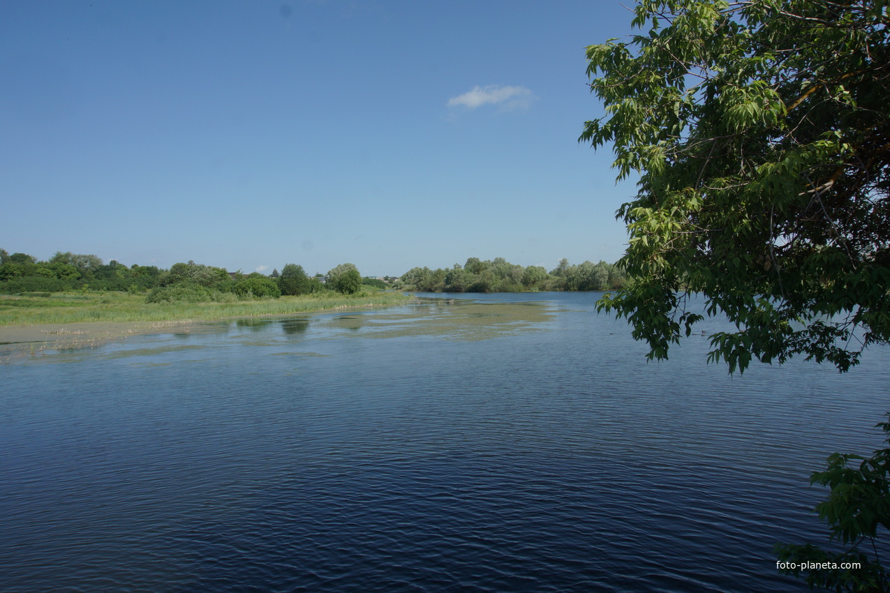 Река Вичкинза