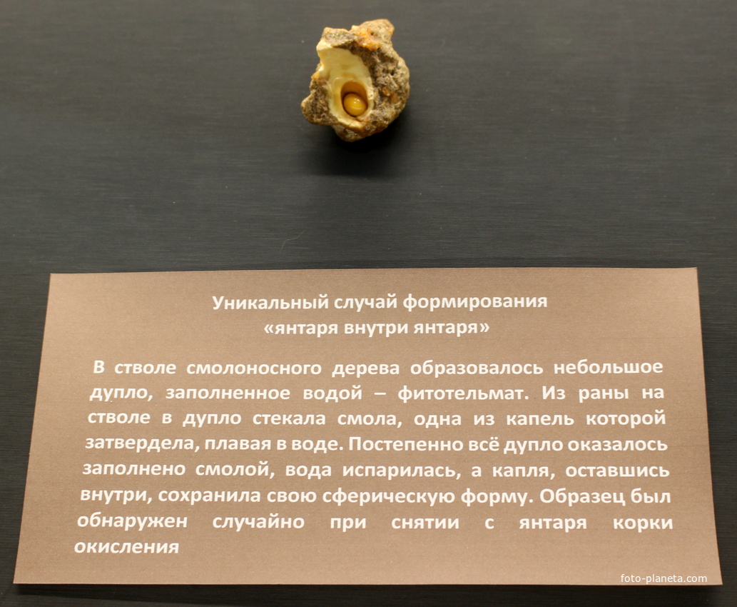 В Музее янтаря.