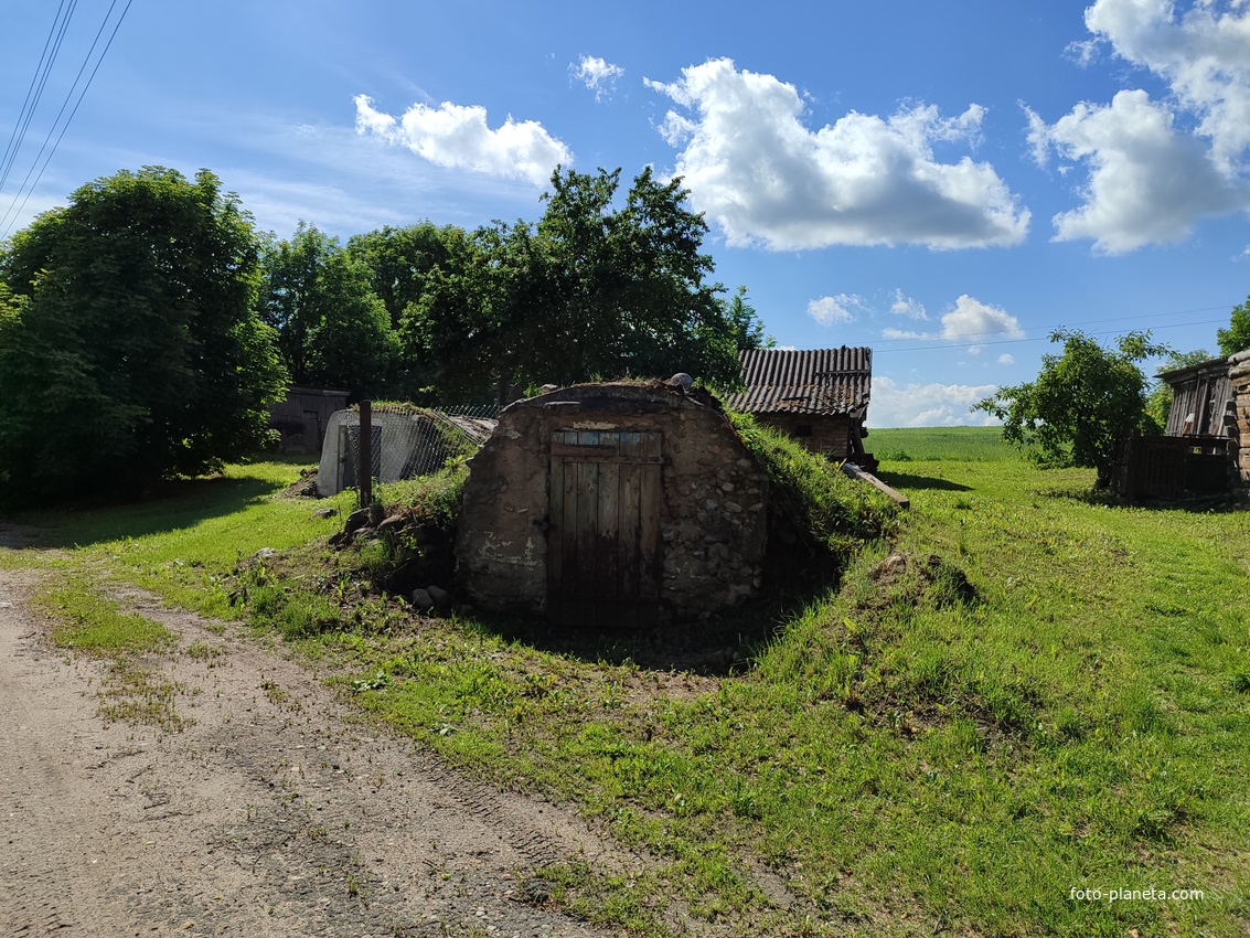 Деревня Шустики