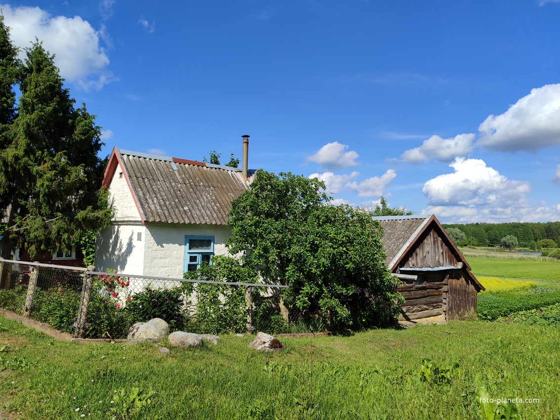 Деревня Шустики