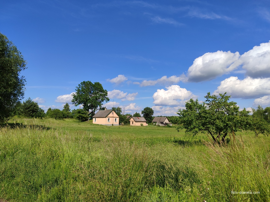Деревня Шустики