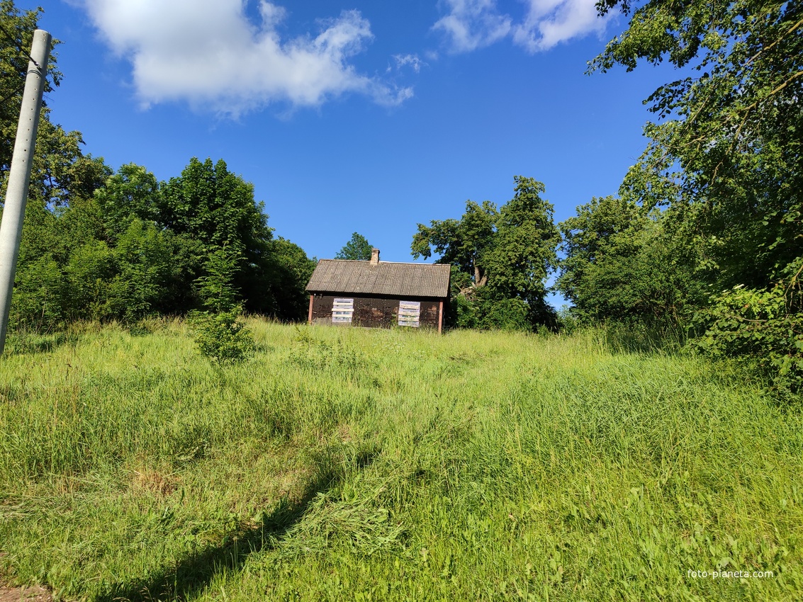 Деревня Яныши