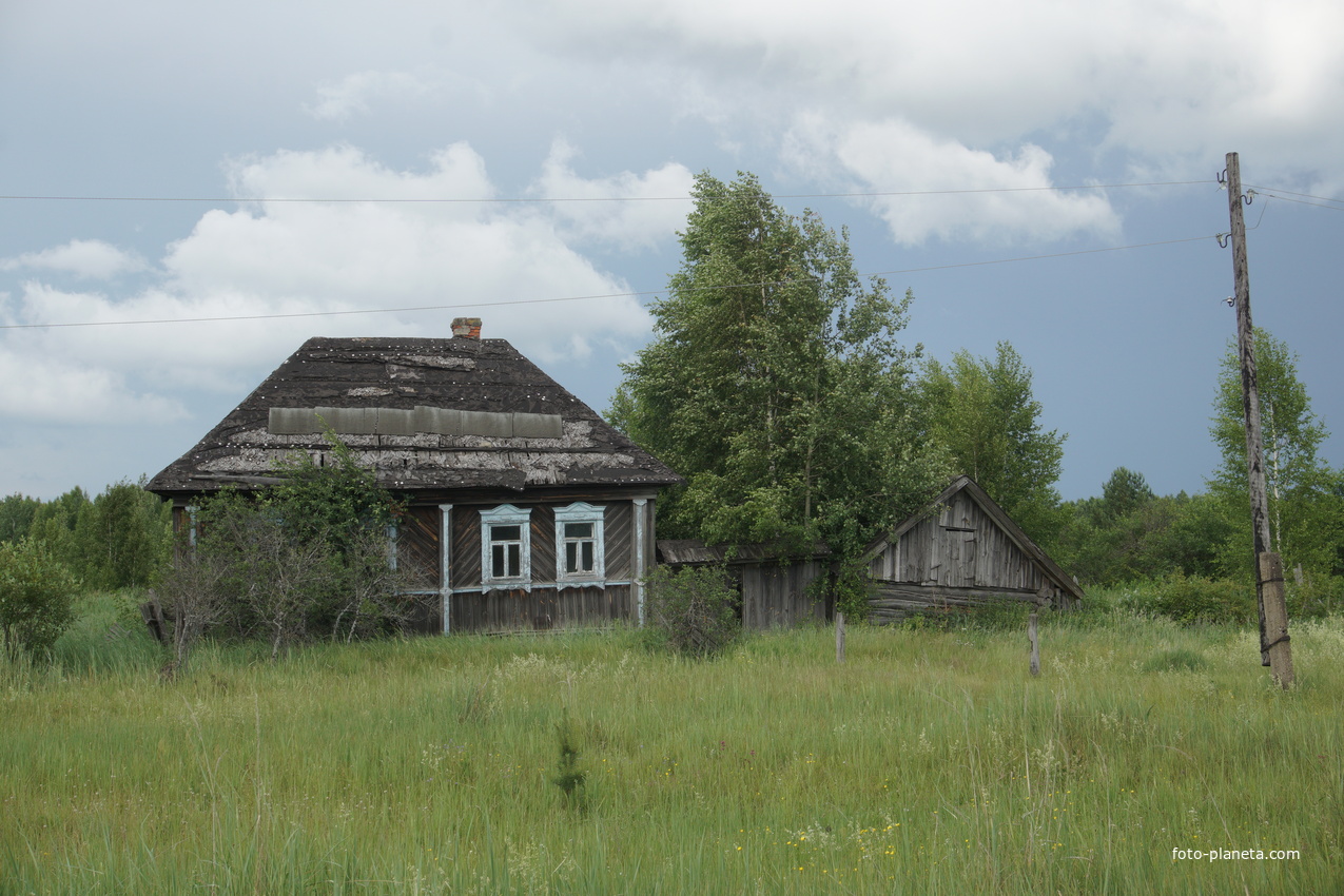 Марьевка, заброшенные дома