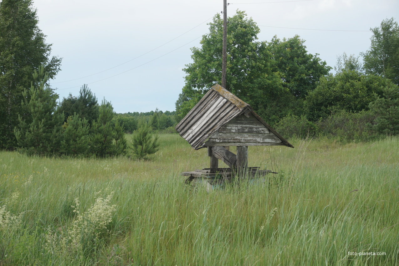 Марьевка, колодец